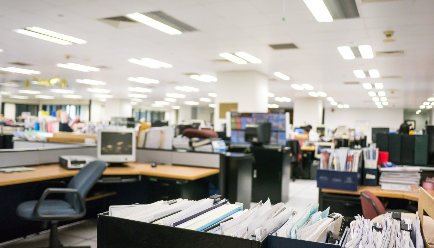 Office Market Bounces Back in 2025: Stabilizing Fundamentals Signal a Recovery